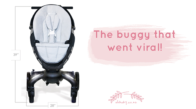 The buggy that went viral!