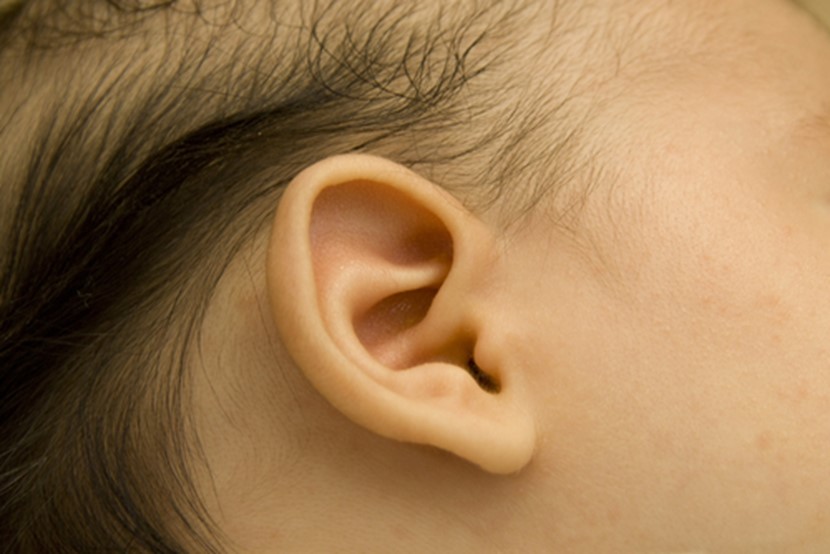 Hearing and hearing loss