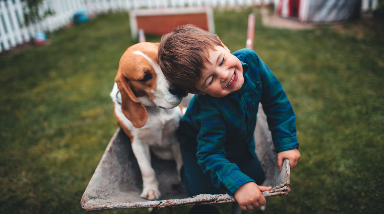 21 tips for teaching kids to respect animals