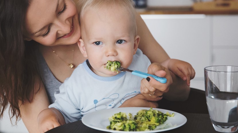 Feeding toddlers: it's tricky when they're picky