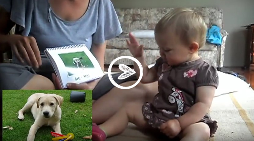 Watch this clever baby 'read' a book at 13 months!
