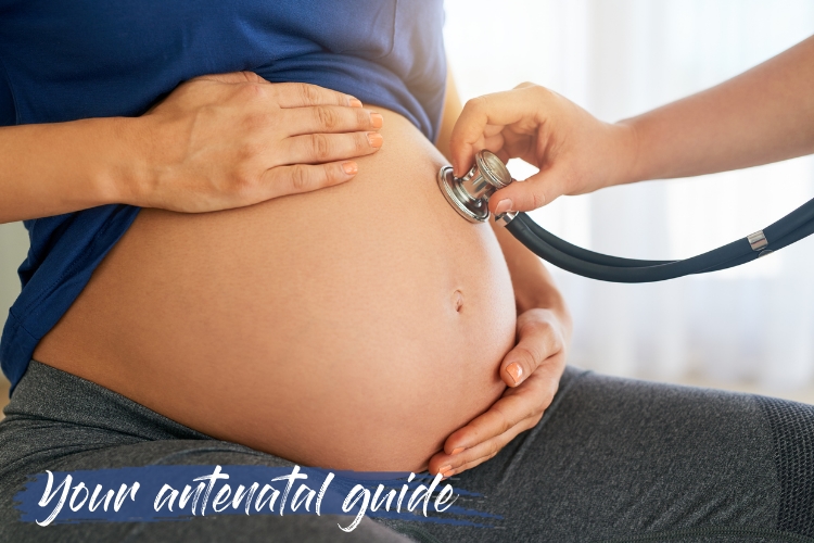 Your Antenatal Guide