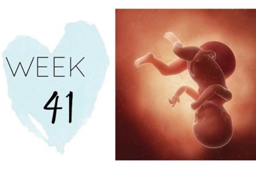 41 weeks pregnant