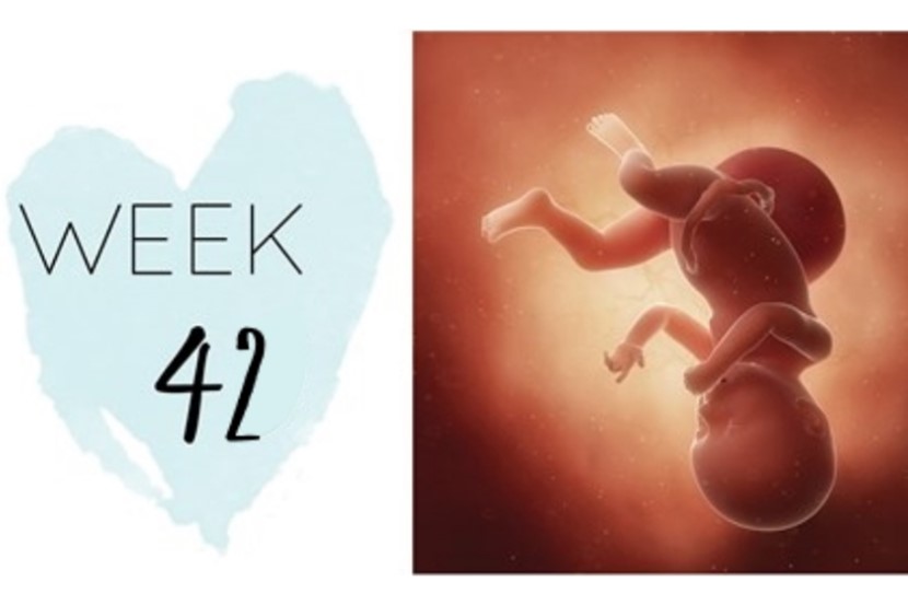 42 weeks pregnant
