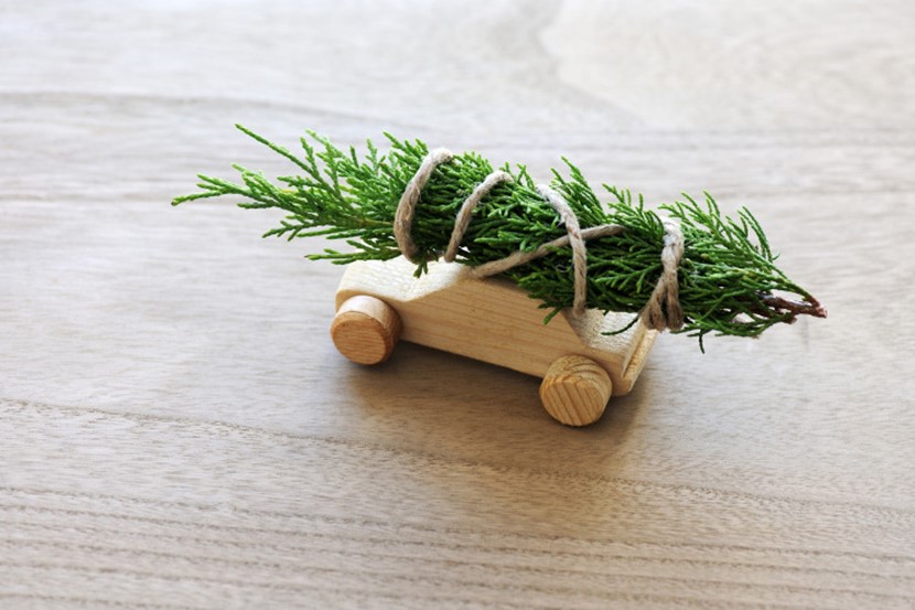 12 eco-friendly days of Christmas