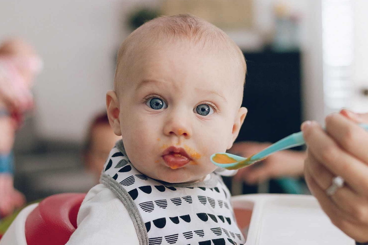 How to introduce first foods to tempt baby