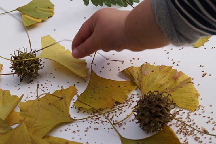 Take a tour through Bear Parks Remuera Centre