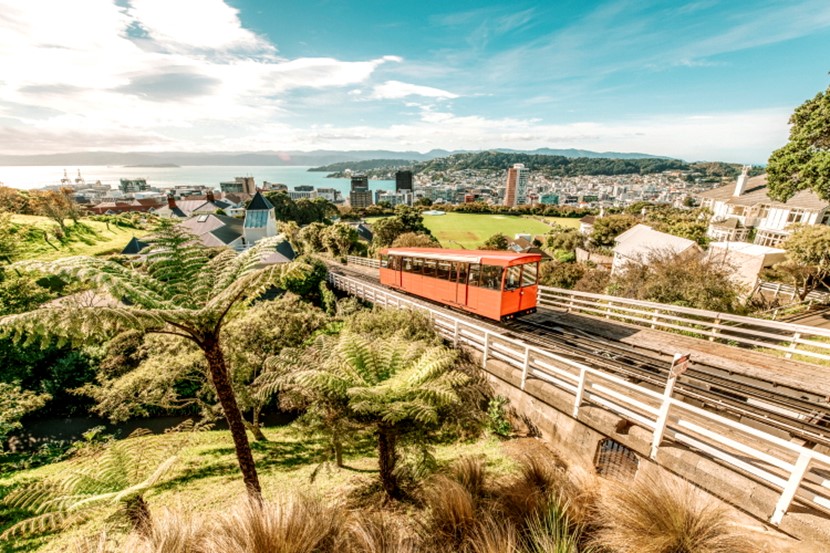 Things to do with the family in Wellington