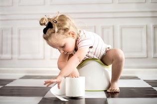 The three basic stages of toilet training