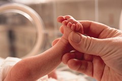 Premature babies in New Zealand