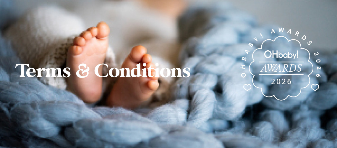 Terms and Conditions
